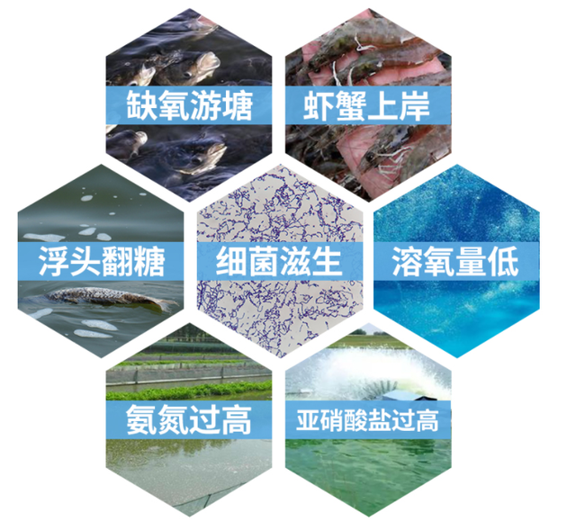 氨氮超標(biāo)的危害，以及高氨氮廢水如何處理