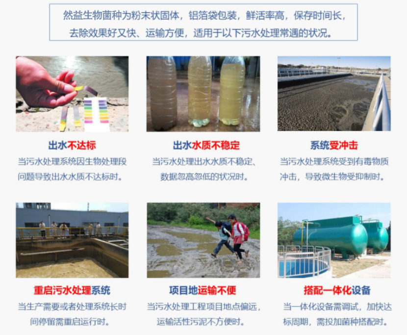 微生物環(huán)保菌種快速恢復(fù)啟動(dòng)污水處理系統(tǒng)